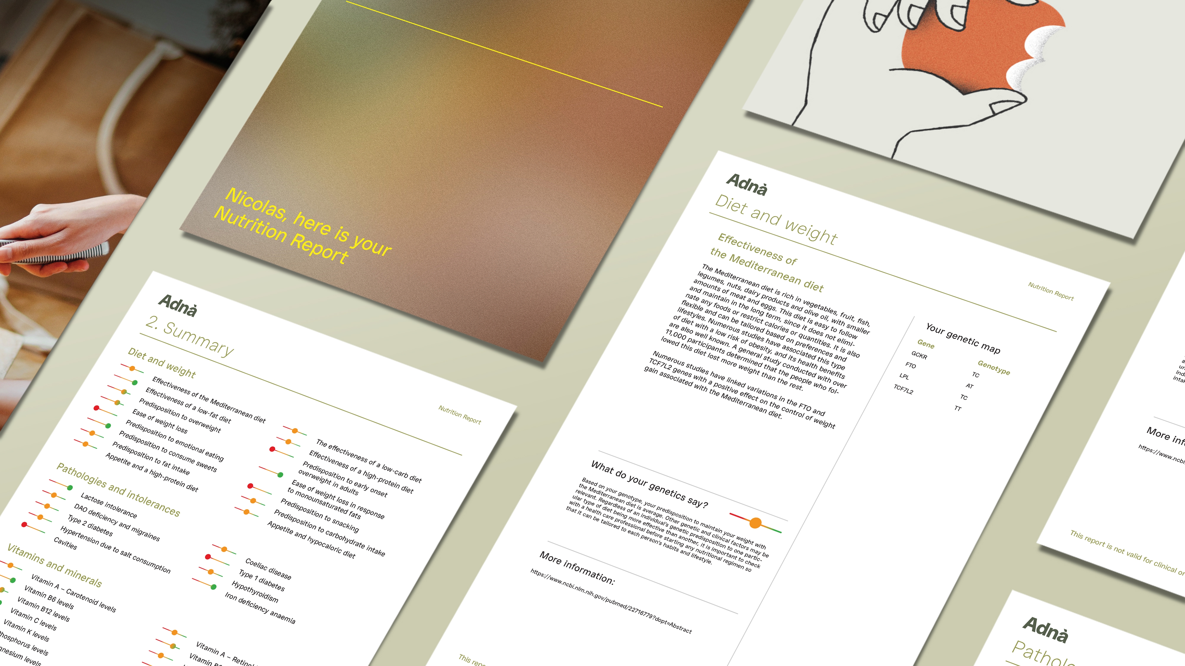 Adna Visuel Rapport Accueil NUTRITION EN