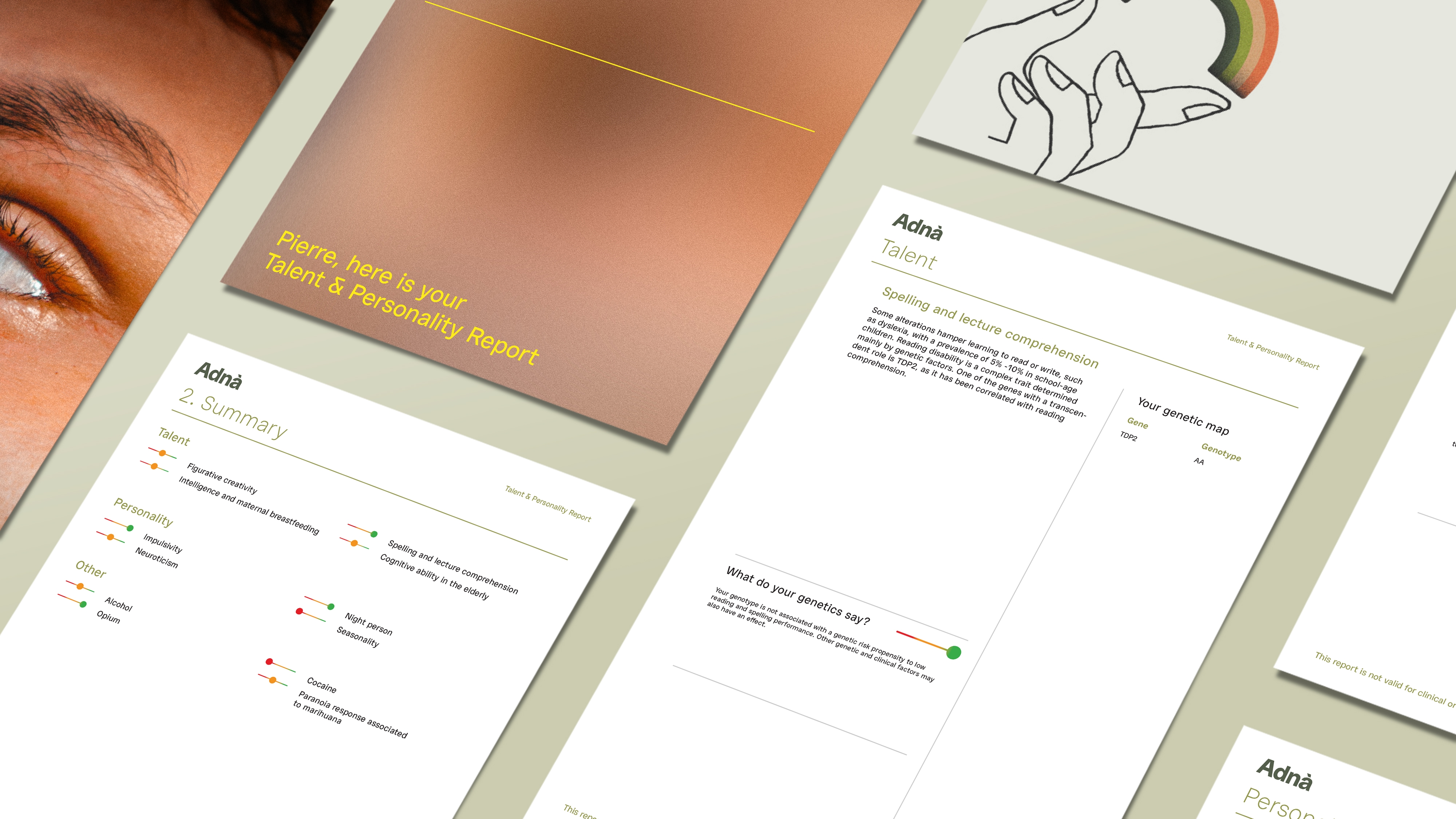 Adna Visuel Rapport Accueil TALENT EN