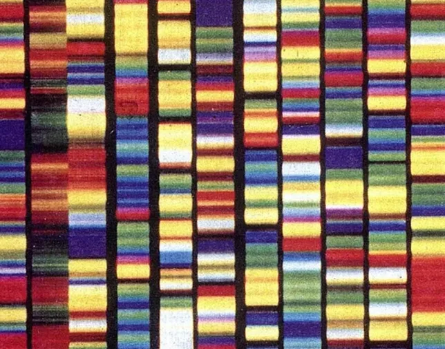 ADNA Gene 02 Image