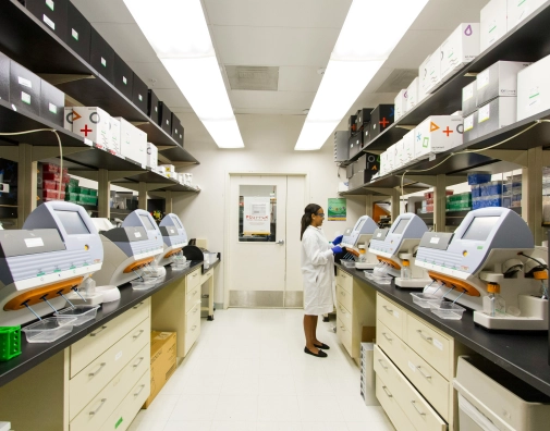 National cancer institute Gl Zv6 Yg C Uy M unsplash