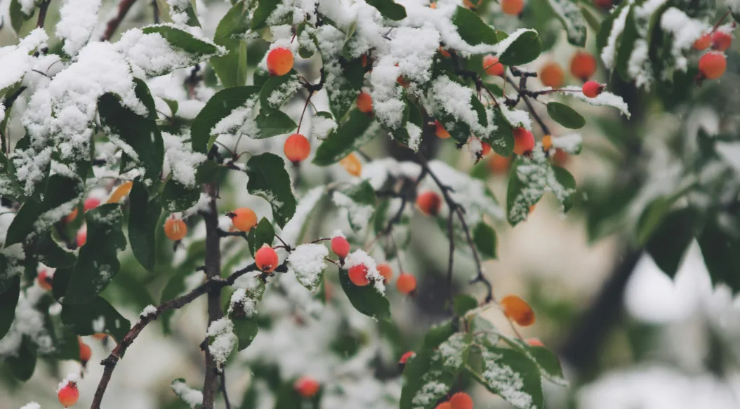 John price Udgvz Nom0 Xs unsplash