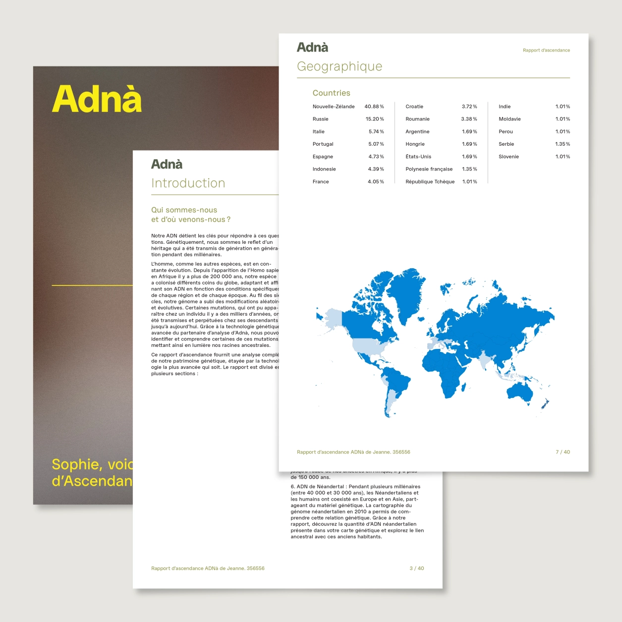 Adna Visuel Rapport Produit ANCESTRY FR