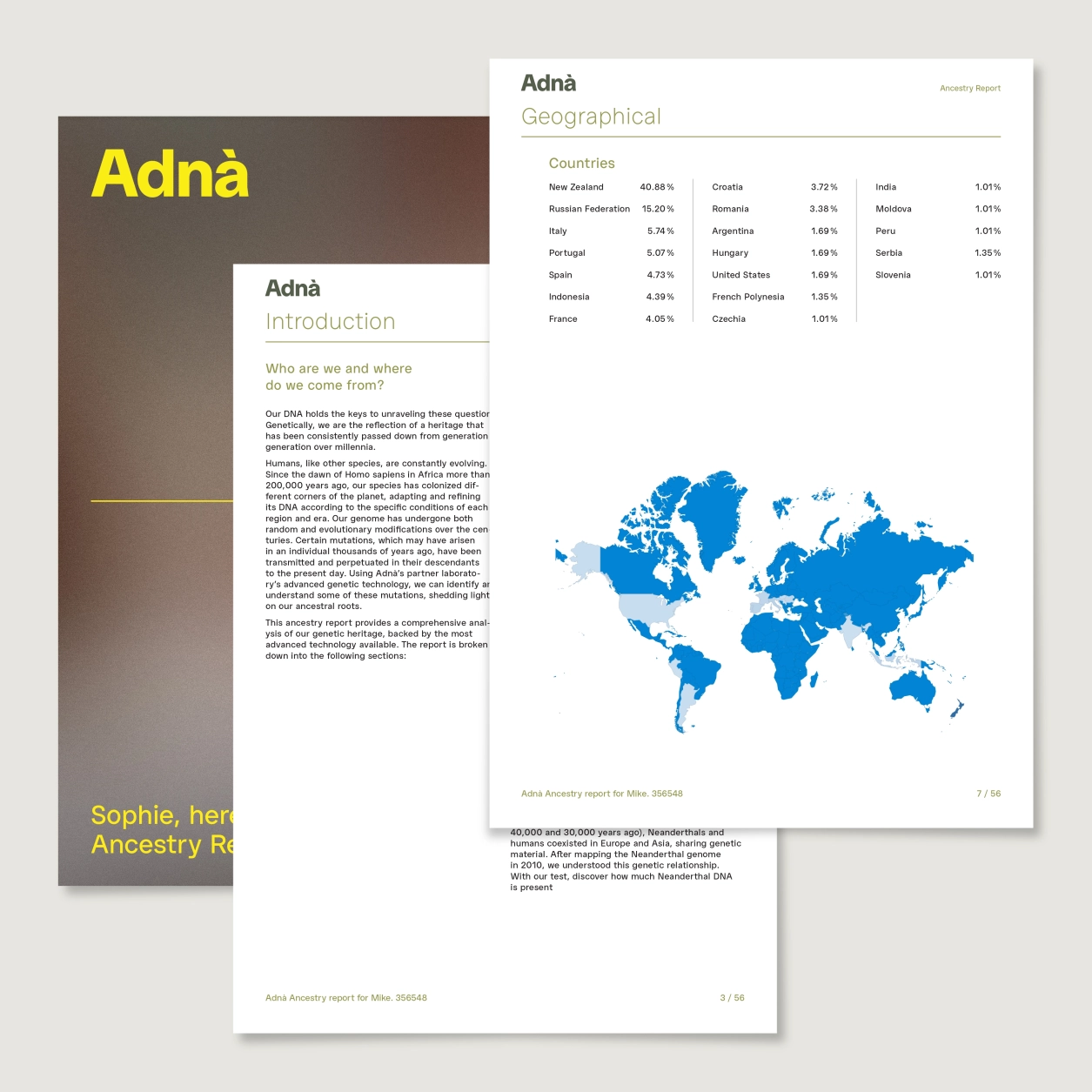 Adna Visuel Rapport Produit ANCESTRY EN