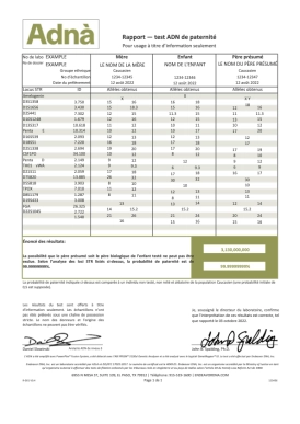 Example test paternité