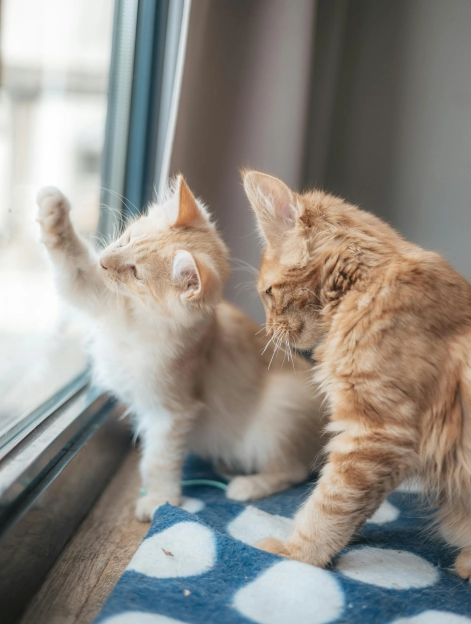 Eduard delputte EUAPYNW4vo0 unsplash