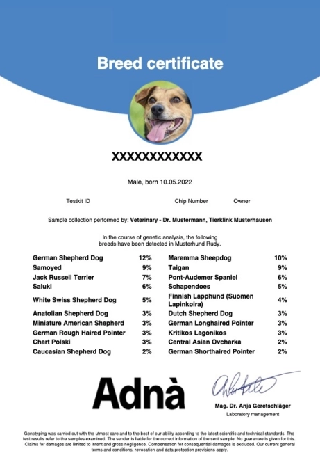 Dog Breed 1 of 2 Certificate ADNA