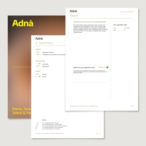 Adna Visuel Rapport Produit TALENT EN