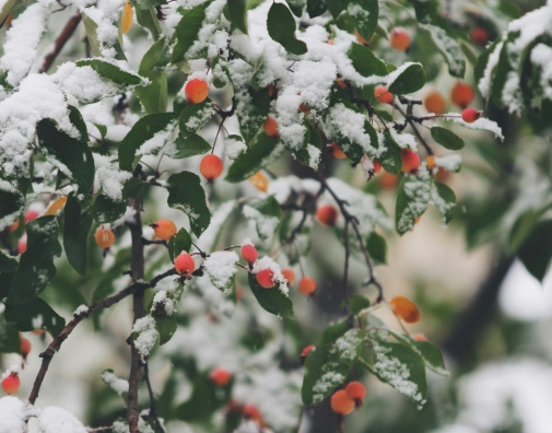 John price Udgvz Nom0 Xs unsplash