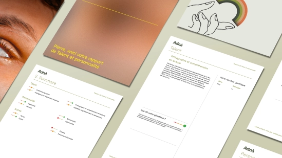 Adna Visuel Rapport Accueil TALENT FR