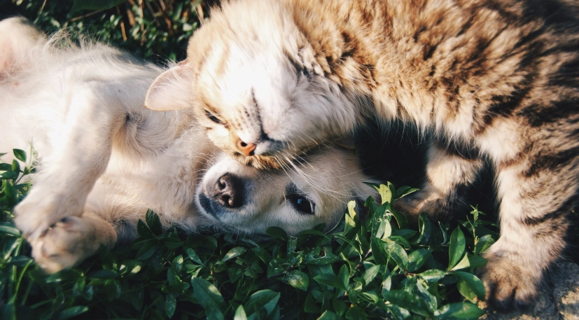 Krista mangulsone 9gz3wf Hr65 U unsplash