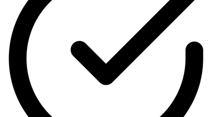 8666656 check circle icon